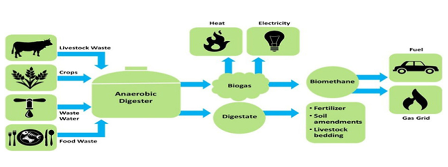 Waste to Biogas / Energy Solutions